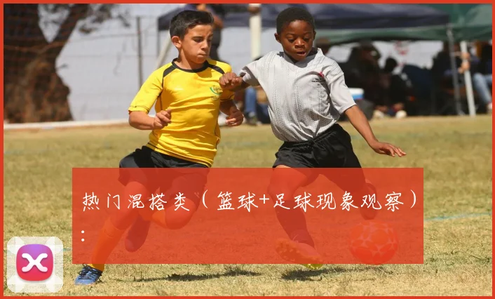 热门混搭类（篮球+足球现象观察）：